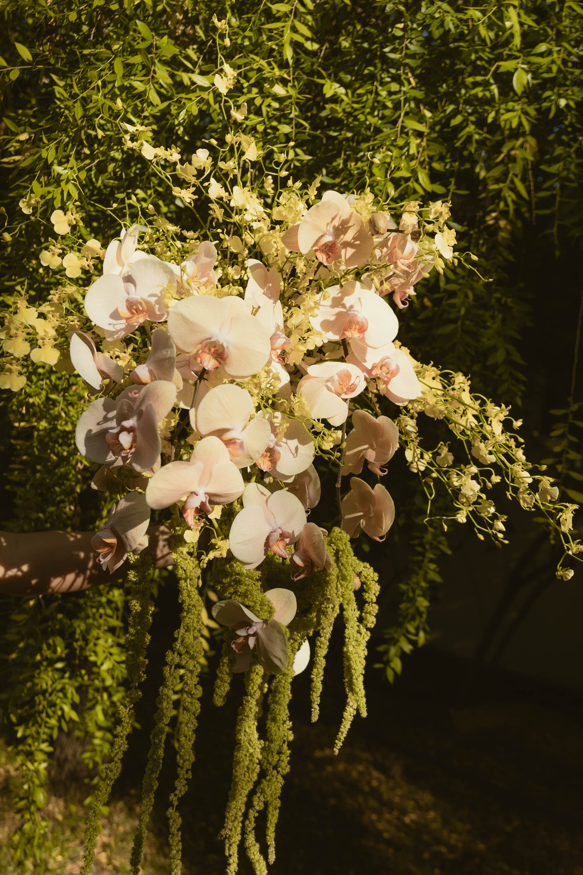 Clover & Nico wedding — photo 30 of 60