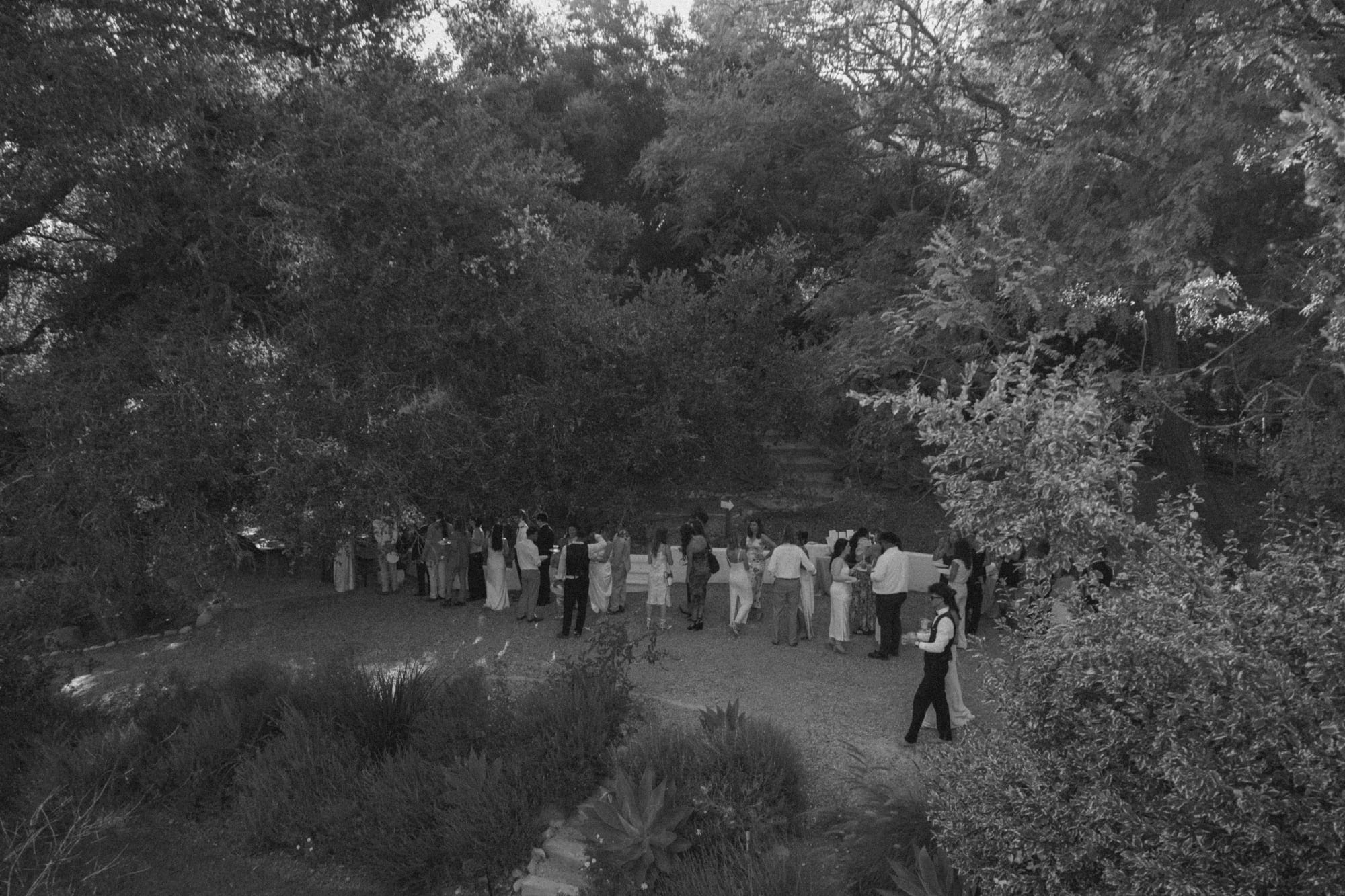 Clover & Nico wedding — photo 32 of 60