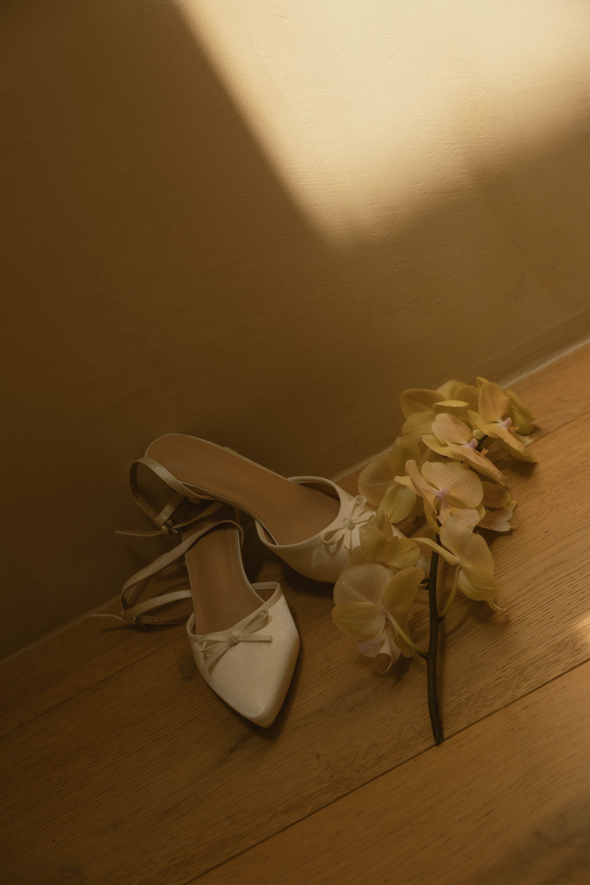 Clover & Nico wedding — photo 50 of 60
